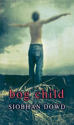Book cover for Rollercoasters Bog Child Reader