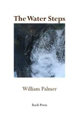 Cover of The Water Steps