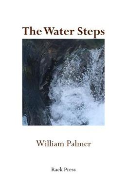 Book cover for The Water Steps