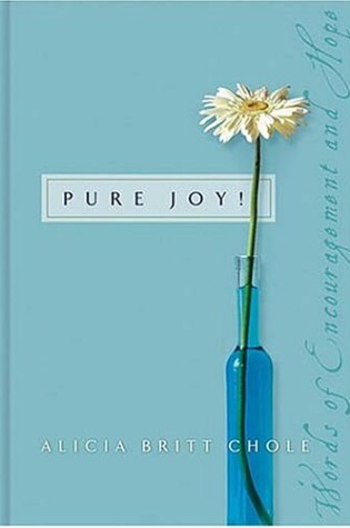 Cover of Pure Joy