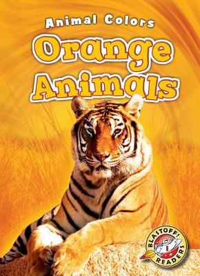 Book cover for Orange Animals