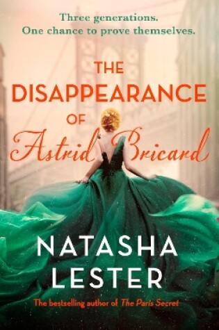 Cover of The Disappearance of Astrid Bricard