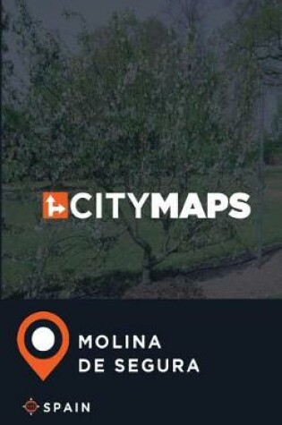 Cover of City Maps Molina de Segura Spain