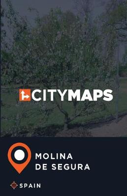 Book cover for City Maps Molina de Segura Spain