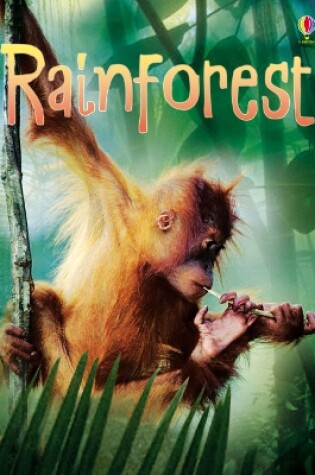 Cover of Rainforests