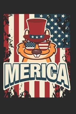 Book cover for Merica Squirrel