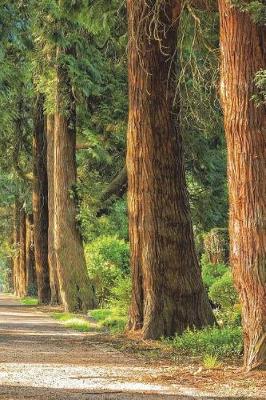 Book cover for Trees In The Forest