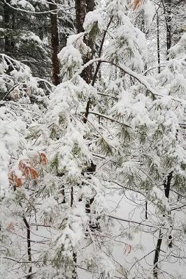 Cover of Journal Beautiful Winter Day Photography