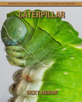 Book cover for Caterpillar