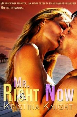 Cover of Mr. Right Now