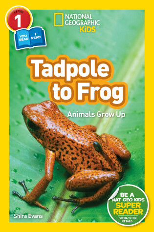 Cover of National Geographic Kids Readers: Tadpole to Frog (L1/Co-reader)