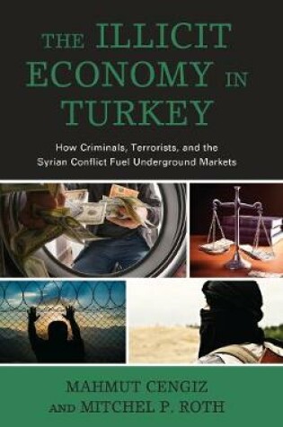 Cover of The Illicit Economy in Turkey