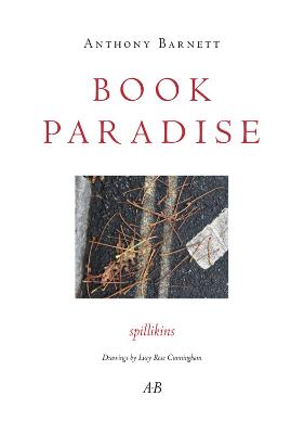 Book cover for Book Paradise