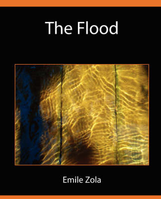 Book cover for The Flood