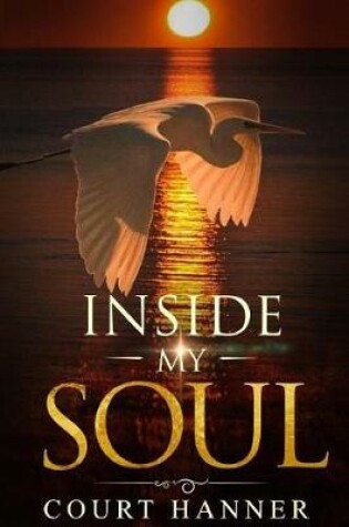 Cover of Inside My Soul
