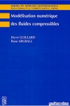 Book cover for Modelisation Numerique DES Fuides Compressibles