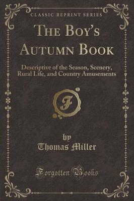 Book cover for The Boy's Autumn Book