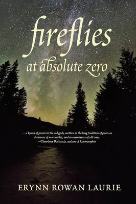 Book cover for Fireflies at Absolute Zero