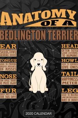 Book cover for Anatomy Of A Bedlington Terrier