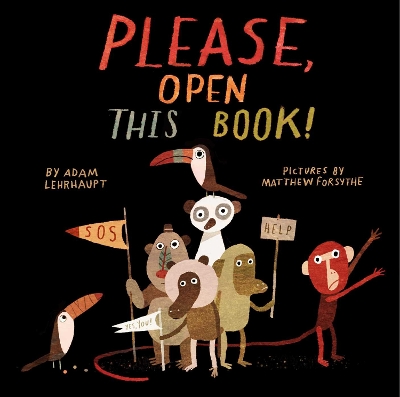 Book cover for Please, Open This Book!