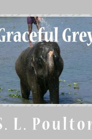 Cover of Graceful Grey