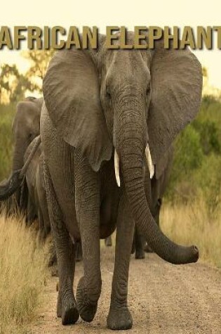 Cover of African elephant