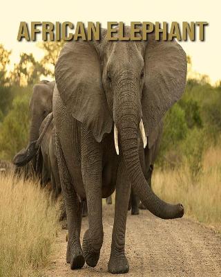 Book cover for African elephant