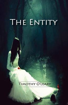 Book cover for The Entity