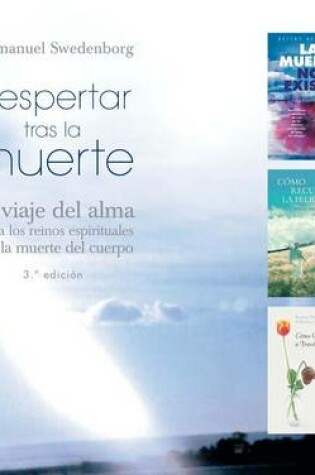 Cover of Despertar Tras La Muerte