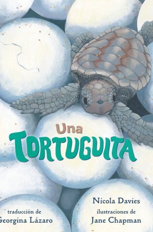Cover of Una tortuguita