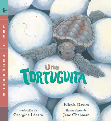 Book cover for Una tortuguita