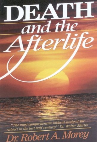 Book cover for Death and the Afterlife