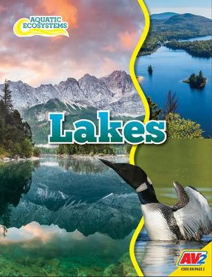 Book cover for Lakes