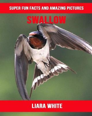 Book cover for Swallow