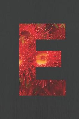 Cover of E