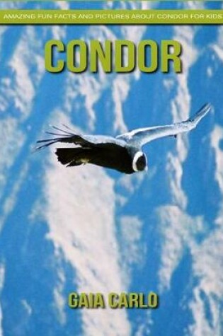 Cover of Condor