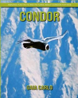 Book cover for Condor