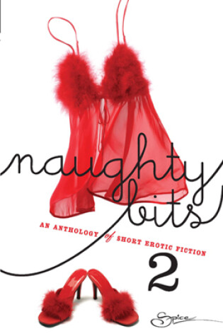 Cover of Naughty Bits Volume 2