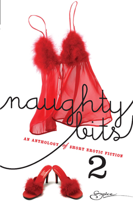 Book cover for Naughty Bits Volume 2