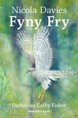 Cover of Fyny Fry
