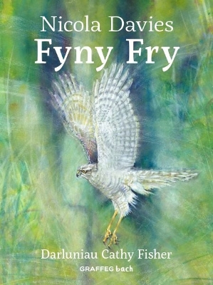 Book cover for Fyny Fry