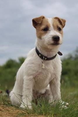 Book cover for Jack Russell Terrier Dog Journal