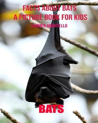 Book cover for Facts About Bats A Picture Book For Kids