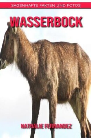 Cover of Wasserbock