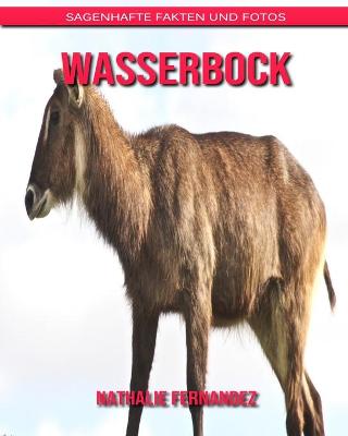 Book cover for Wasserbock