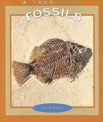 Cover of Fossils