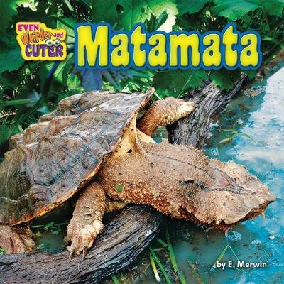Book cover for Matamata