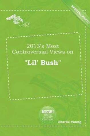 Cover of 2013's Most Controversial Views on Lil' Bush