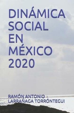 Cover of Dinamica Social En Mexico 2020