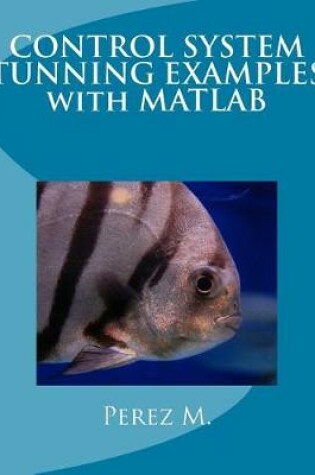 Cover of Control System Tunning Examples with MATLAB